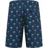 imageAPTRO Mens Swim Trunks 9quot Quick Dry Bathing Suit Big ampamp Tall Beach SwimsuitsHw015 Palm