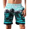 imageAPTRO Mens Swim Trunks 9quot Quick Dry Bathing Suit Big ampamp Tall Beach SwimsuitsPalm Treeaqua