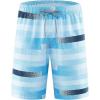 Ha01 Blue-stripes