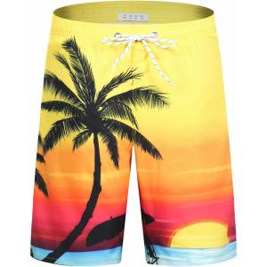 imageAPTRO Mens Swim Trunks 9quot Quick Dry Bathing Suit Big ampamp Tall Beach SwimsuitsH17 Palm Sunset