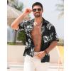 imageAPTRO Mens Hawaiian Shirt Short Sleeve Tropical Vacation Button Down Beach Floral Palm ShirtsHw024monstera Black