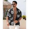 imageAPTRO Mens Hawaiian Shirt Short Sleeve Tropical Vacation Button Down Beach Floral Palm ShirtsHw024monstera Black
