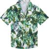 #Ks29-leaves Green