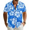 Hibiscus Blue