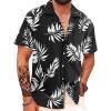 #Hw024-monstera Black