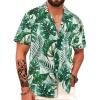 #Hw032-monstera-leaf