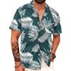 Monstera-m1 Green