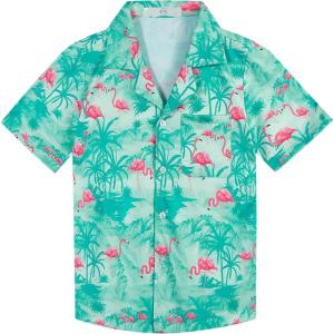 imageAPTRO Boys Hawaiian Shirt Tropical Beach Casual Summer Shirt with Pocket Short Sleeve 415 YearsKs30flamingo Green