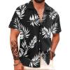 #Hw024-monstera Black