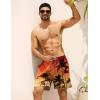 imageAPTRO Mens Swim Trunks Bathing Suit with Compression Liner Board Shorts Beach 5 inch Swimsuit 2 in 1 Swimwear Zipper PocketsLr03 Coconut Tree Orange
