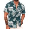 Monstera-m1 Green