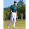 imageAPTRO Golf Shirts for Men Moisture Wicking Hawaiian Polo Shirts Dry Fit with Print and Short SleeveP20 Ombre Green Palm