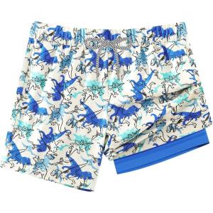 imageAPTRO 2 in 1 Boys Swim Trunks Quick Dry Kids Bathing Suits Zipper Pockets Board Shorts 516YG04dinosaur 01