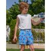 image:imageAPTRO 2 in 1 Boys Swim Trunks Quick Dry Kids Bathing Suits Zipper Pockets Board Shorts 516YG11 Ice Cream