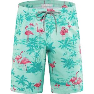 image:imageAPTRO Mens Swim Trunks 9 Quick Dry Bathing Suit Big amp Tall Beach SwimsuitsT11 Flamingo