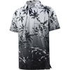 #P21 Ombre Grey Palm