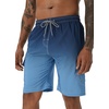 image:imageAPTRO Mens Swim Trunks 9 inch Bathing Suit Big amp Tall Swim Shorts  Quick Dry Breathable Fabric Elastic Waistband with Drawstring Swimsuits for Beach Swimming Vacation PartyGradient Blue Cargo