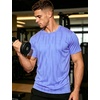 image:imageAPTRO Mens Workout Shirts Quick Dry Athletic Gym TShirts  Moisture Wicking Short Sleeve Performance Running Tees for MenLight Purple