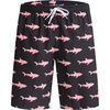 H16 Fish-shark