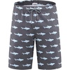 1702 Shark